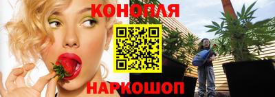 крисы Рязань