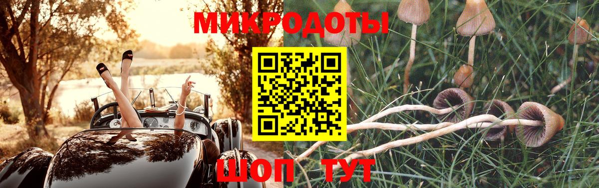 Псилоцибиновые грибы мухоморы Новоуральск